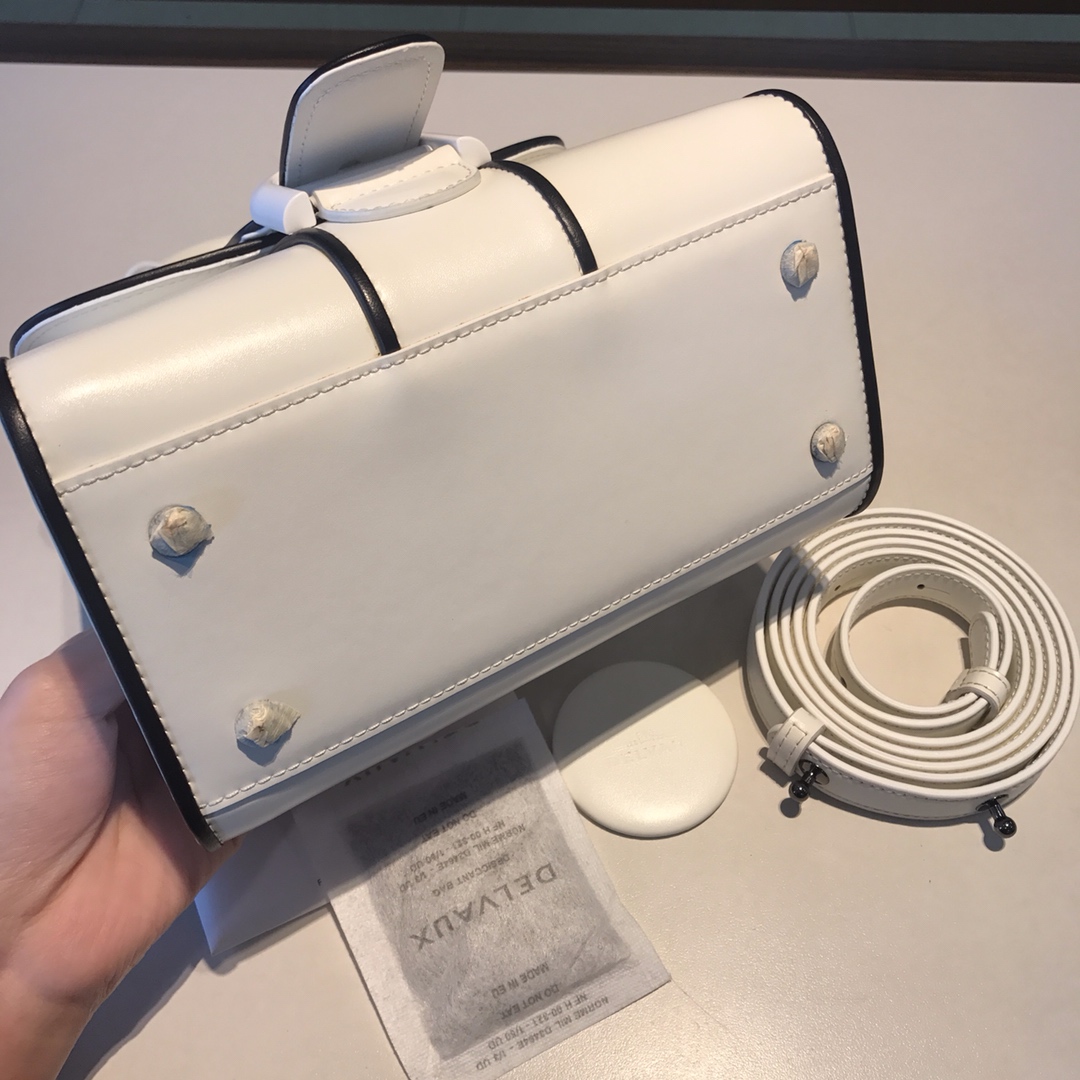 델보 브리앙 복스 토트백 미니